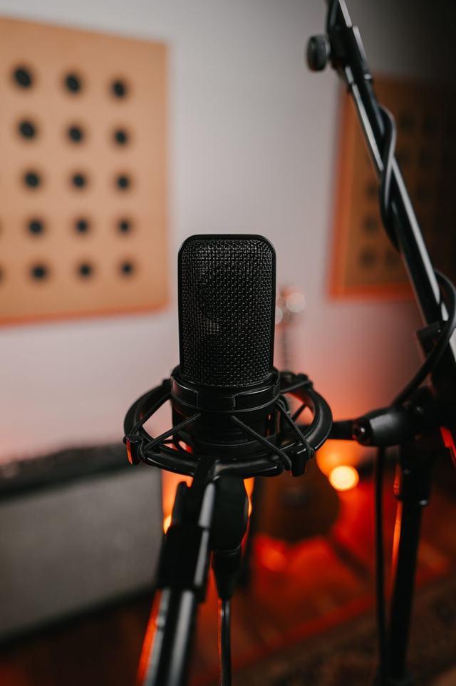 The microphone Tom records with.